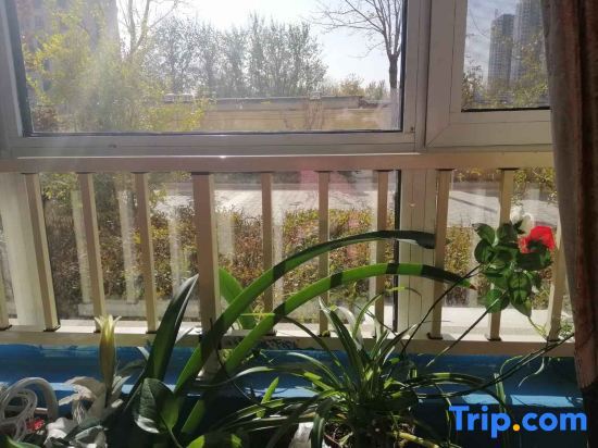 Цанчжоу: Cangzhou Global B & B
