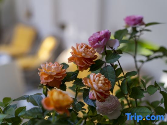 Чаочжоу: Oasis Courtyard Homestay (Chaozhou Ancient City Paifang Street)