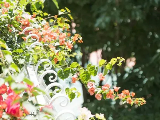 Чаочжоу: Oasis Courtyard Homestay (Chaozhou Ancient City Paifang Street)