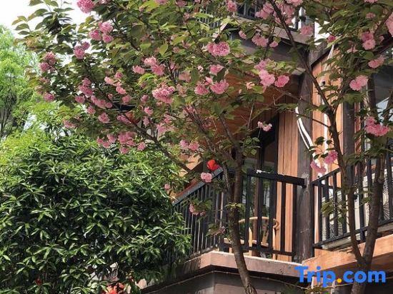Лешан: Fanyunju Hostel