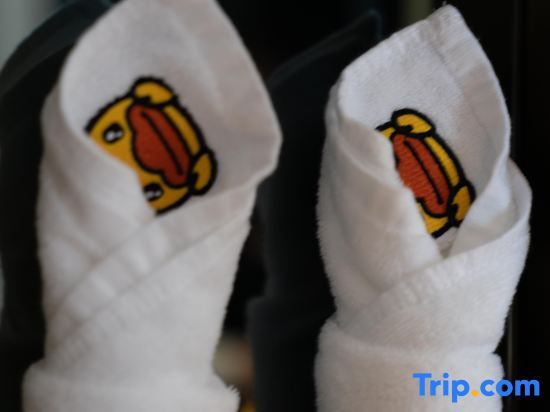 Чунцин: Echarm Plus Hotel (Chongqing Jiangbei Airport T3)