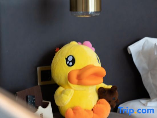 Чунцин: Echarm Plus Hotel (Chongqing Jiangbei Airport T3)