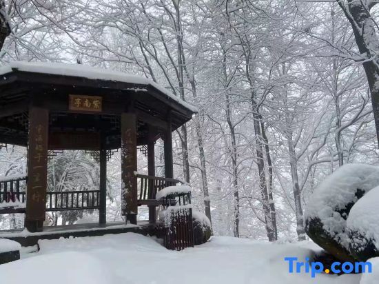 Ханчжоу: Hangzhou Linan Old Maple Tree Valley-view Hostel