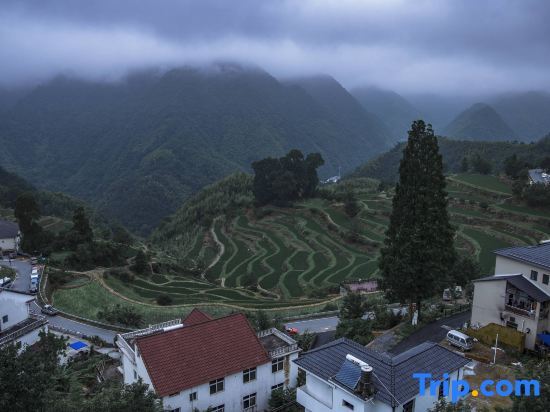 Ханчжоу: Hangzhou Linan Old Maple Tree Valley-view Hostel