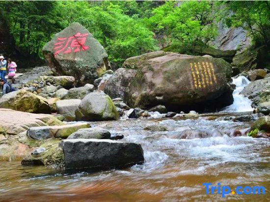 Ханчжоу: Hangzhou Linan Old Maple Tree Valley-view Hostel