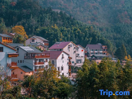 Ханчжоу: Hangzhou Linan Old Maple Tree Valley-view Hostel