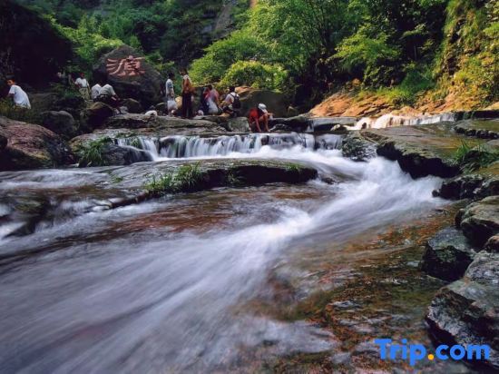 Ханчжоу: Hangzhou Linan Old Maple Tree Valley-view Hostel