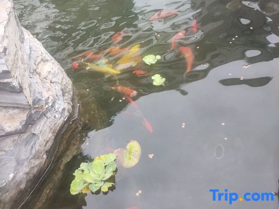 Хэнъян: Hengyang Qiyu Mountain Homestay (Nanyue Hengshan Scenic Spot Branch)