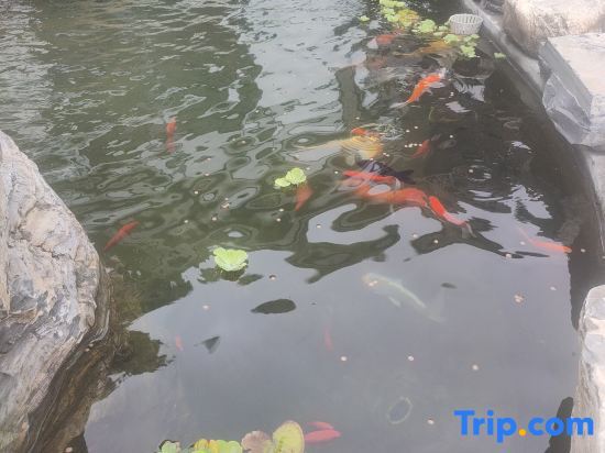 Хэнъян: Hengyang Qiyu Mountain Homestay (Nanyue Hengshan Scenic Spot Branch)