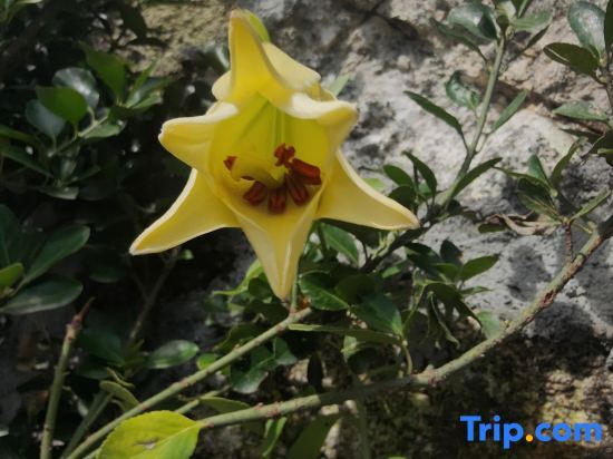 Хэнъян: Hengyang Qiyu Mountain Homestay (Nanyue Hengshan Scenic Spot Branch)