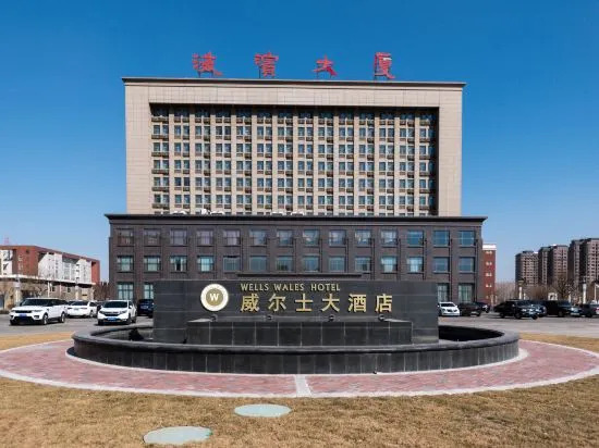 Цанчжоу: Wells Wales Hotel