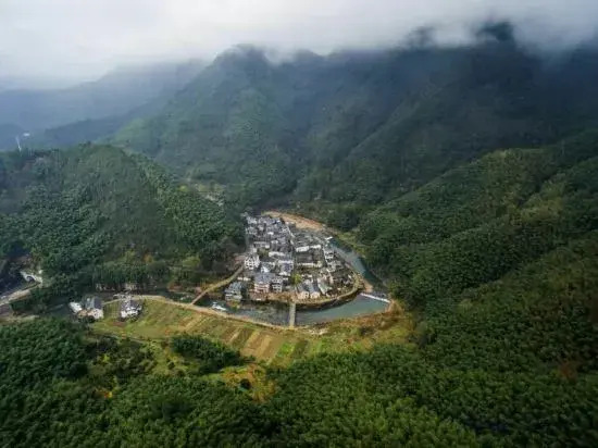 Ханчжоу: Tree House Guesthouse