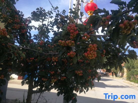 Пекин: Zhanjiadayuan  Guesthouse