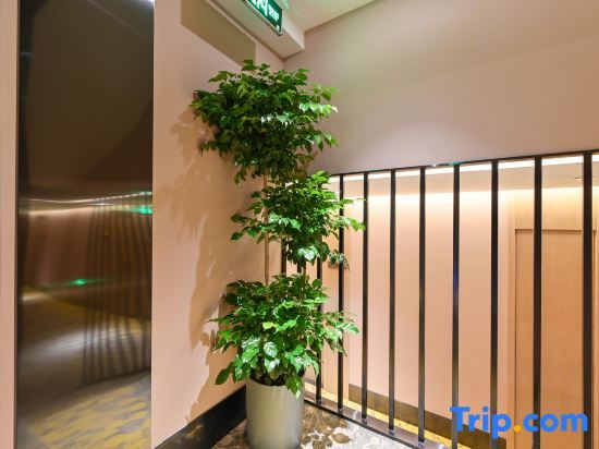 Пекин: Qiu Duo Hotel