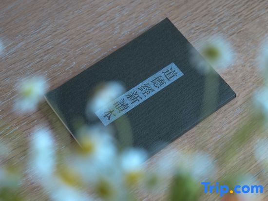 Чунцин: Wuyu Hotel (Happy Valley Lijia Children's Hospital)