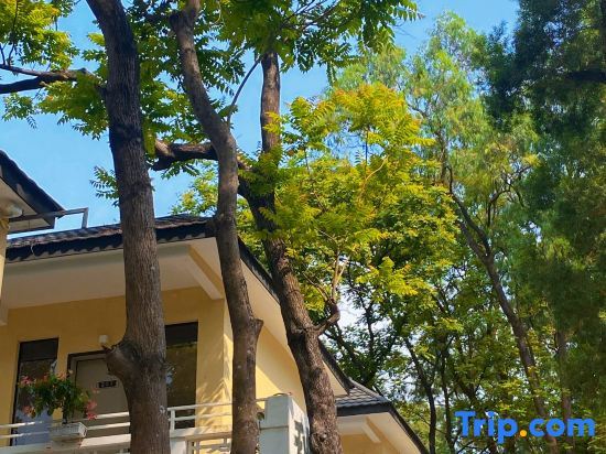 Джиангме: Taishan Qingyun Mountain House Homestay