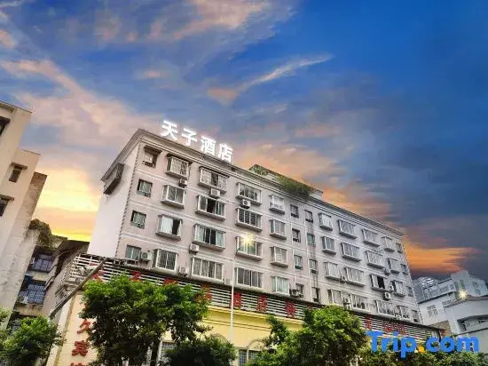 Tianzi Hotel (Zhaoxiang Platinum Times) — фото 1