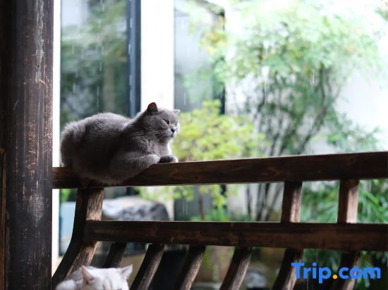 Хуаншань: Huangshan Manyuan Jianshan Homestay
