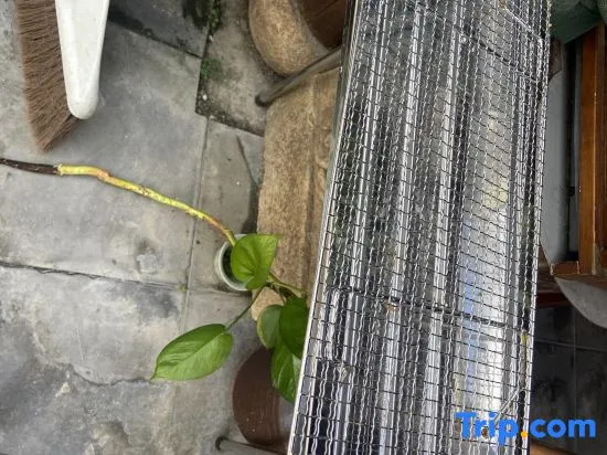 Лишуй: Songyang MingQingyuan Homestay