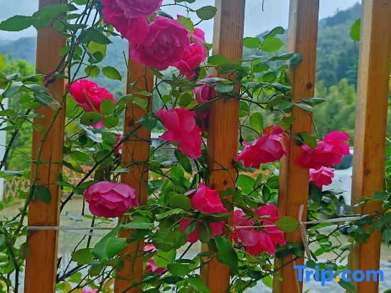 Аньцин: Yunshanying B&B (Tianzhushan Scenic Area Branch)