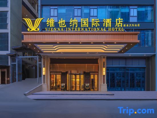 Чунцин: Vienna International Hotel (Chongqing Pengshui  Liangjiang Plaza)