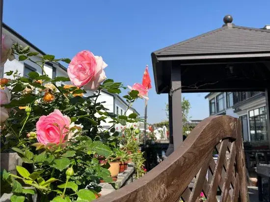 Шанхай: Tian Yunju Homestay