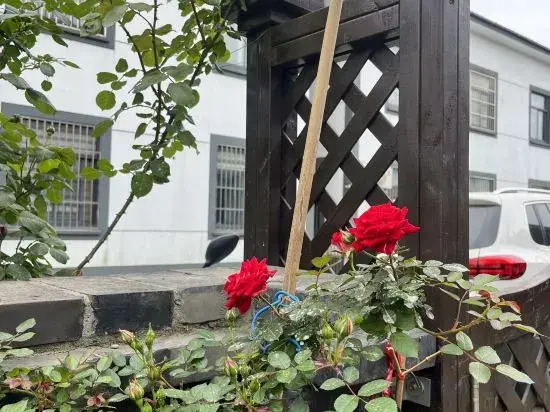 Шанхай: Tian Yunju Homestay