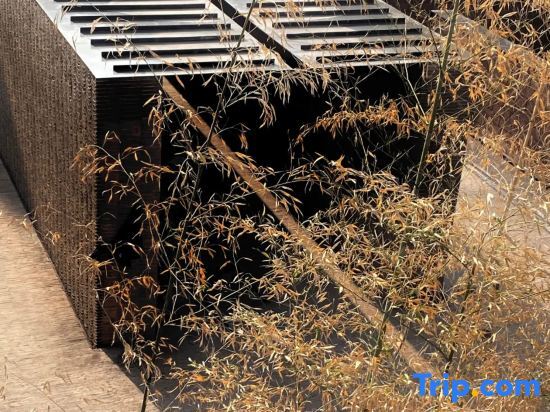 Юйси: Fuxian Lake Grand corner Homestay