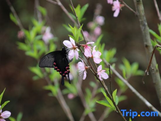 Луань: Yueqixi·Small Village Homestay (Tiantangzhai Scenic)