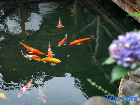 Хуаншань: Huangshan Shandong Chou Lvhuan Homestay (Xixinan Ancient Village)