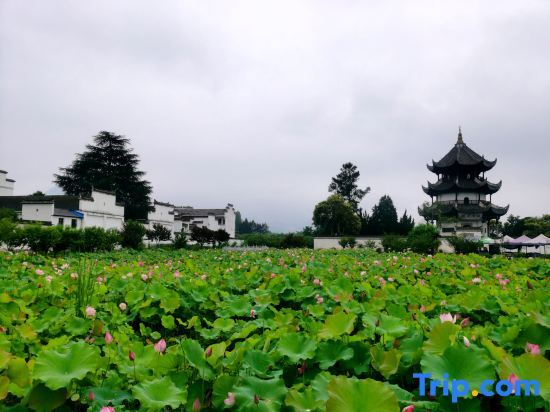 Хуаншань: Xiaoqiao Homestay