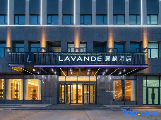 Алтай: Lavande Hotel (Altay Huali Xuefu Branch)