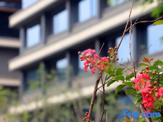 Пекин: Grand Metropark Jinhai Lake Hotel