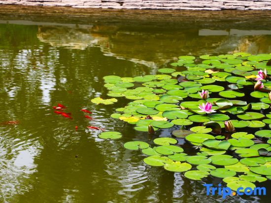 Пекин: Grand Metropark Jinhai Lake Hotel