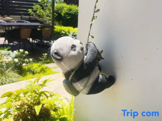 Шанхай: Sangu Maolu Homestay
