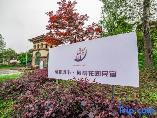 Чунцин: Unimore Heidi Garden Homestay (Wulong Fairy Mountain Branch)