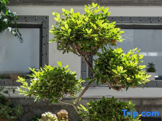Дали: Dali Yemo Homestay