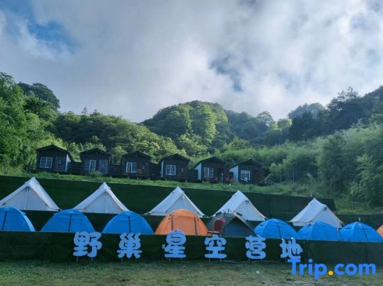Чанша: Dawei Mountain Wild Nest Starry Sky Camp