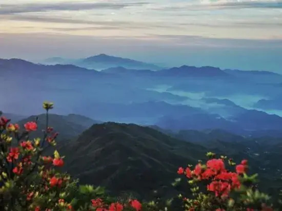 Чанша: Dawei Mountain Wild Nest Starry Sky Camp