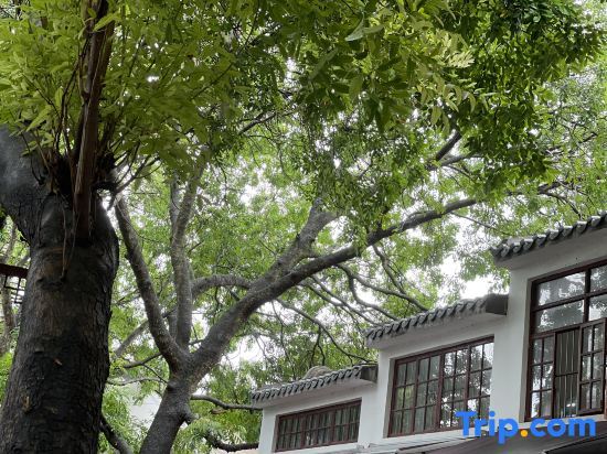 Chaozhou · Green Tiles (memorial archway Street Store in Chaozhou Ancient City) — фото 1