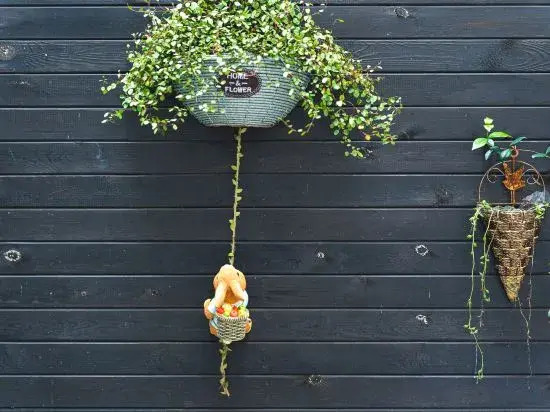 Шанхай: City Courtyard Homestay