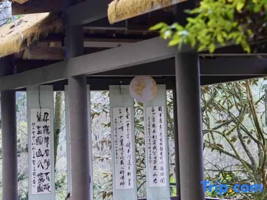 Jingshan Zhidu Forest Hot Spring B&B (Qingcheng Back Mountain Scenic Area Branch) — фото 3