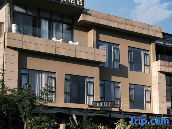Чунцин: THELILY Designer Hotel (Chongqing Nanbin Road Danzishi Old Street Store)