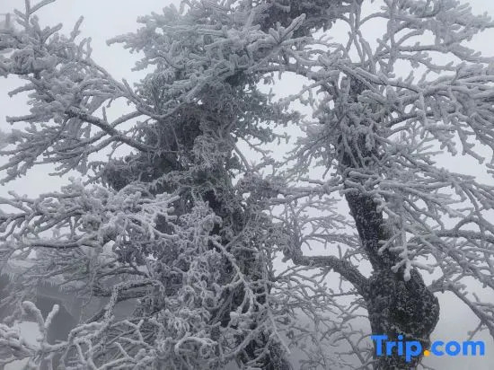 Хэнъян: Wangyue Mountain House Homestay (Nanyue Hengshan Scenic Area)