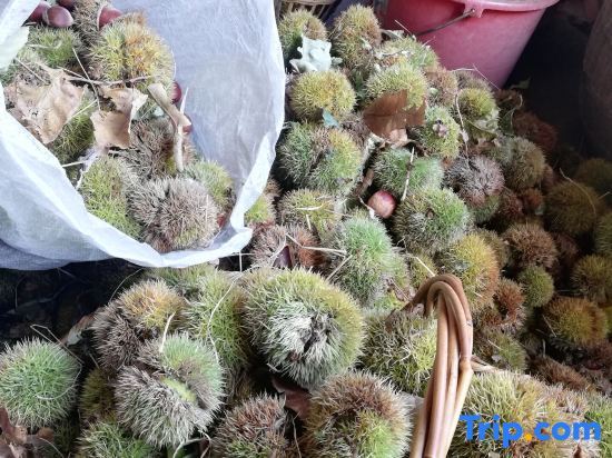 Хэнъян: Wangyue Mountain House Homestay (Nanyue Hengshan Scenic Area)