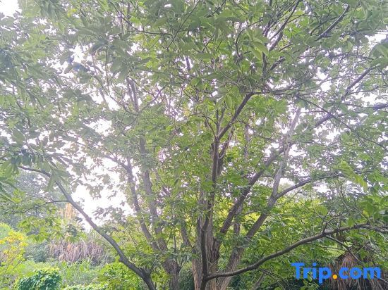 Хэнъян: Wangyue Mountain House Homestay (Nanyue Hengshan Scenic Area)