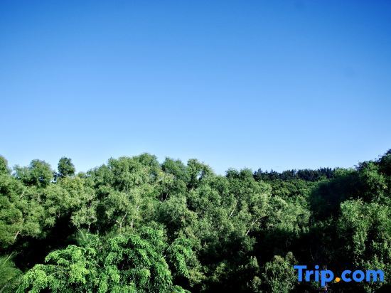 Ваньнин: Muyang Qingyoufeng Homestay