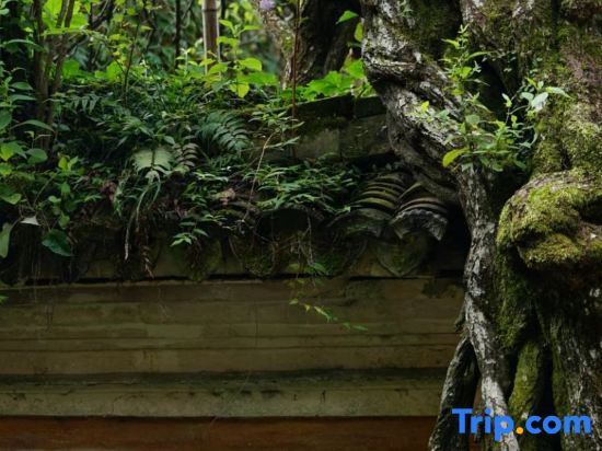 Тайчжоу: Tiantai Shanqing Homestay