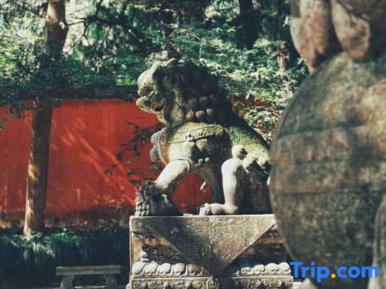 Тайчжоу: Tiantai Shanqing Homestay