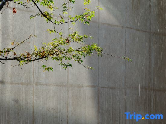 Тайчжоу: Xianju Chun and Qingxi Homestay